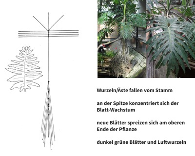 Pflanzenschema mit Fotos und Beschreibung